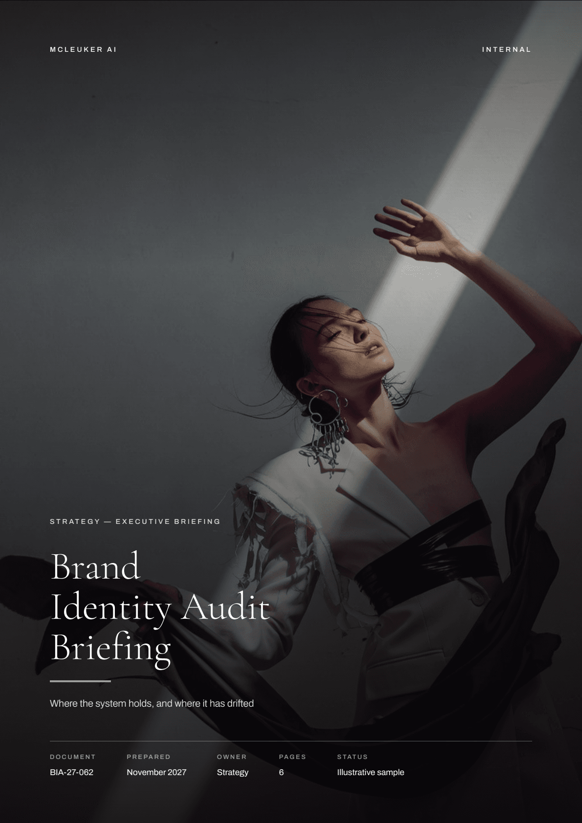 Brand Identity Audit Briefing — cover
