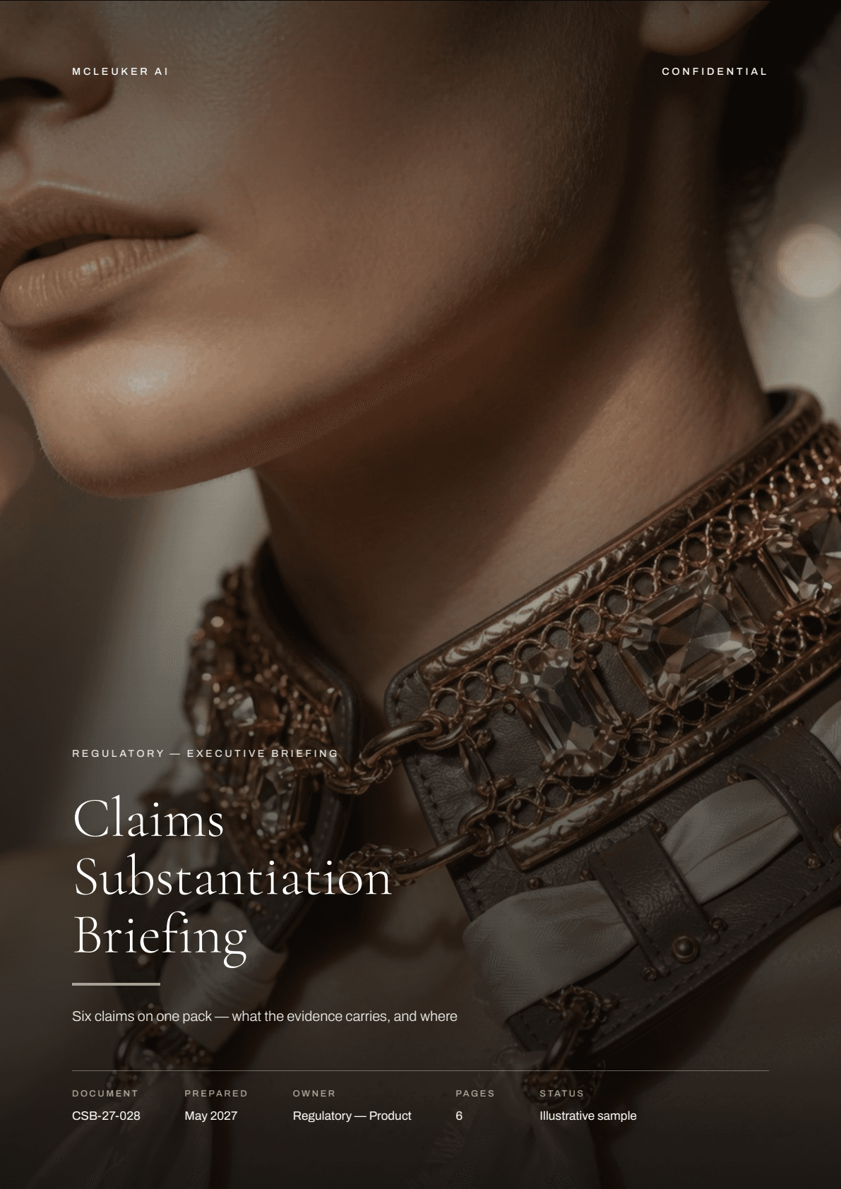 First page of Claims Substantiation Briefing, a PDF the platform produced