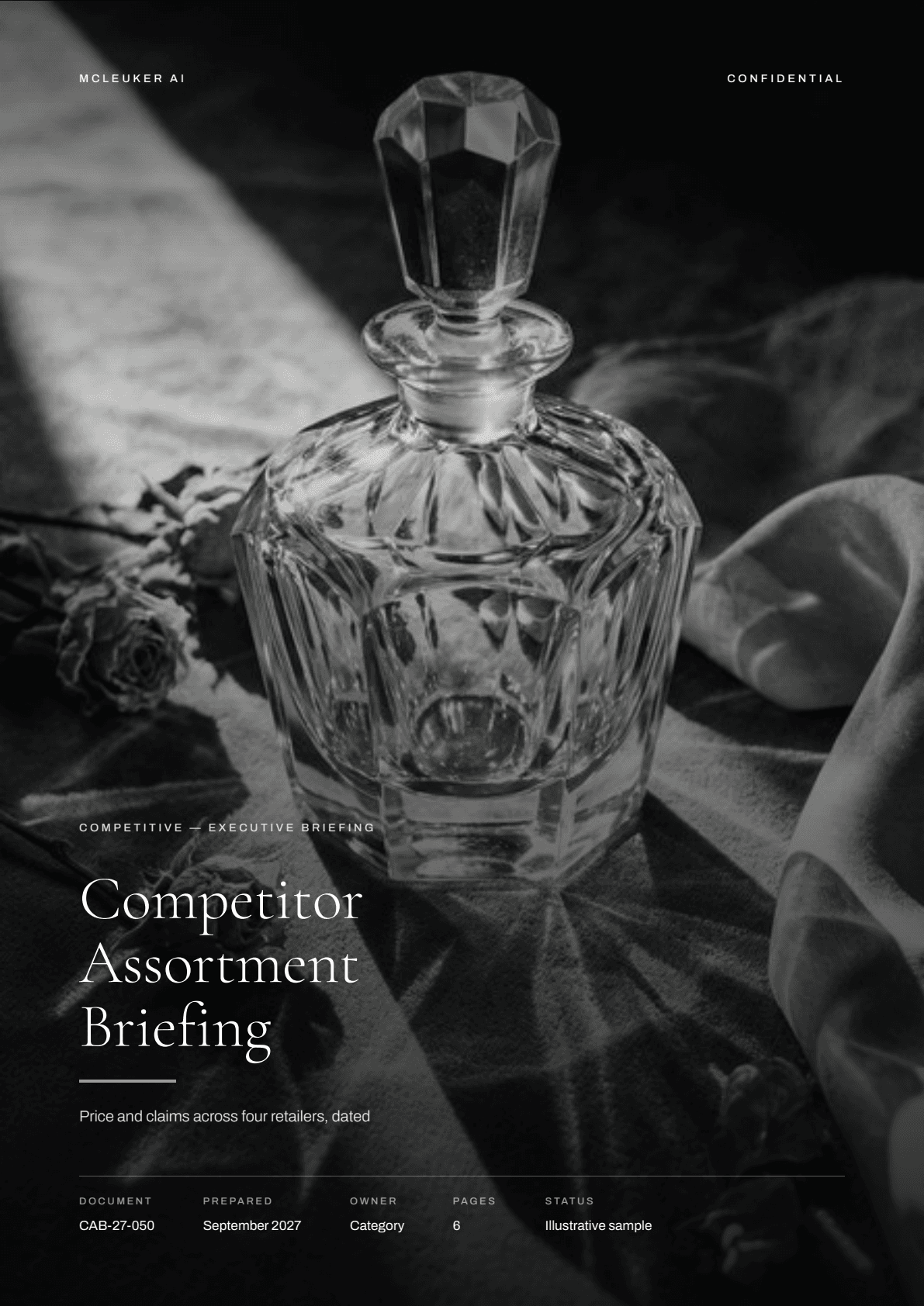 First page of Competitor Assortment Briefing, a PDF the platform produced
