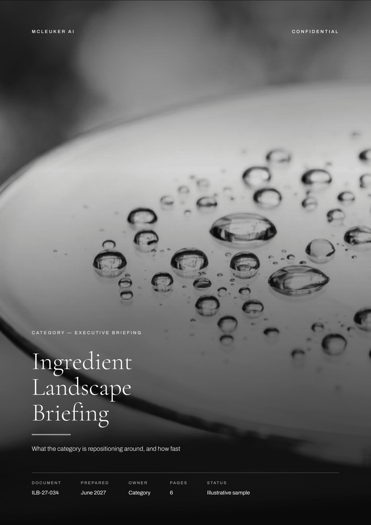 First page of Ingredient Landscape Briefing, a PDF the platform produced