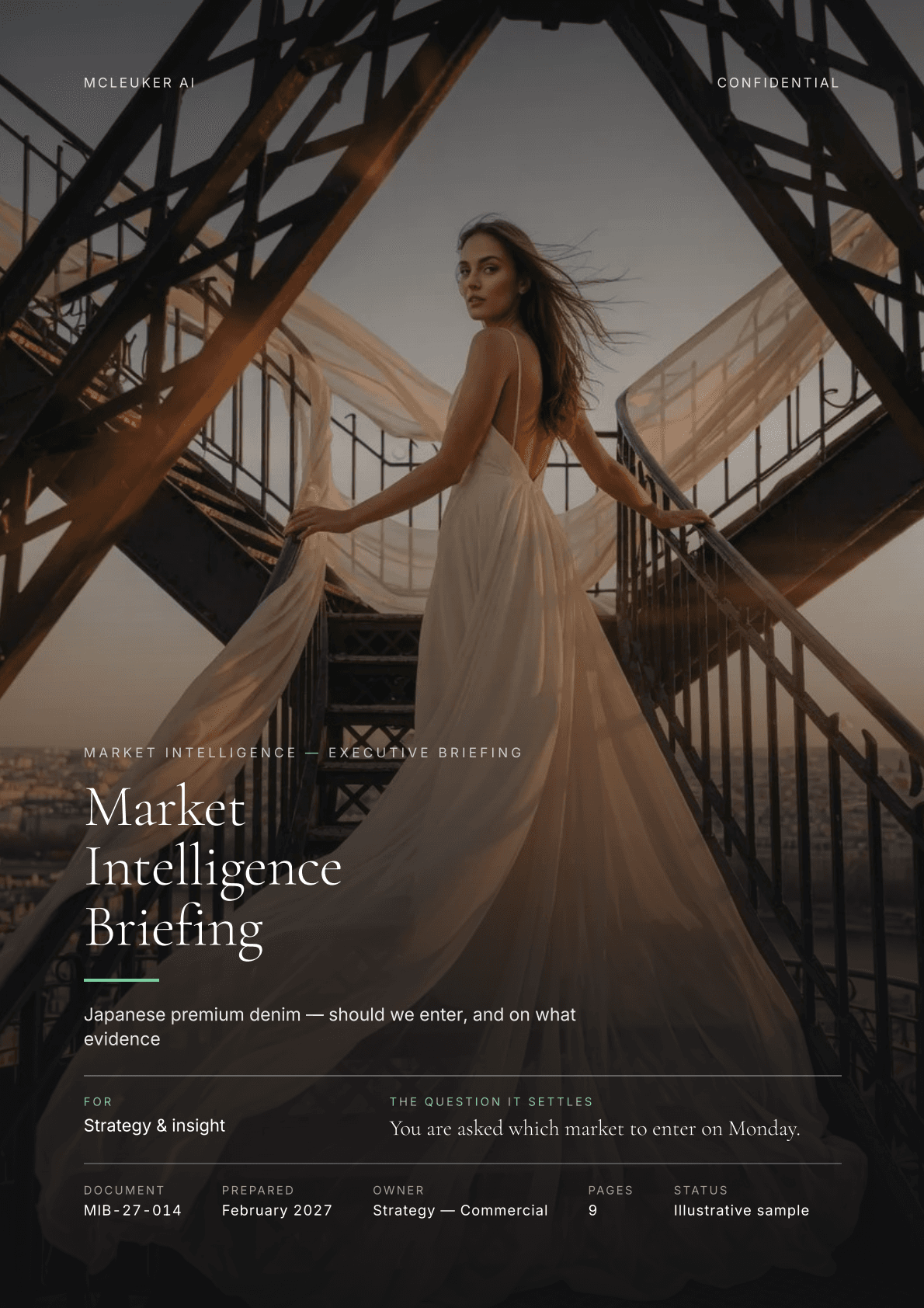 First page of Market Intelligence Briefing, a PDF the platform produced