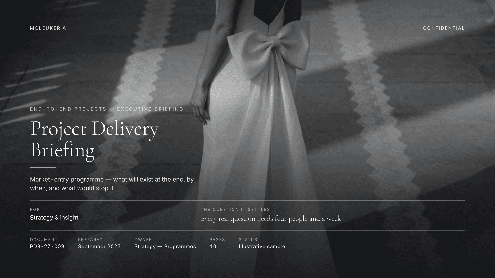 First page of Project Delivery Briefing, a PDF the platform produced