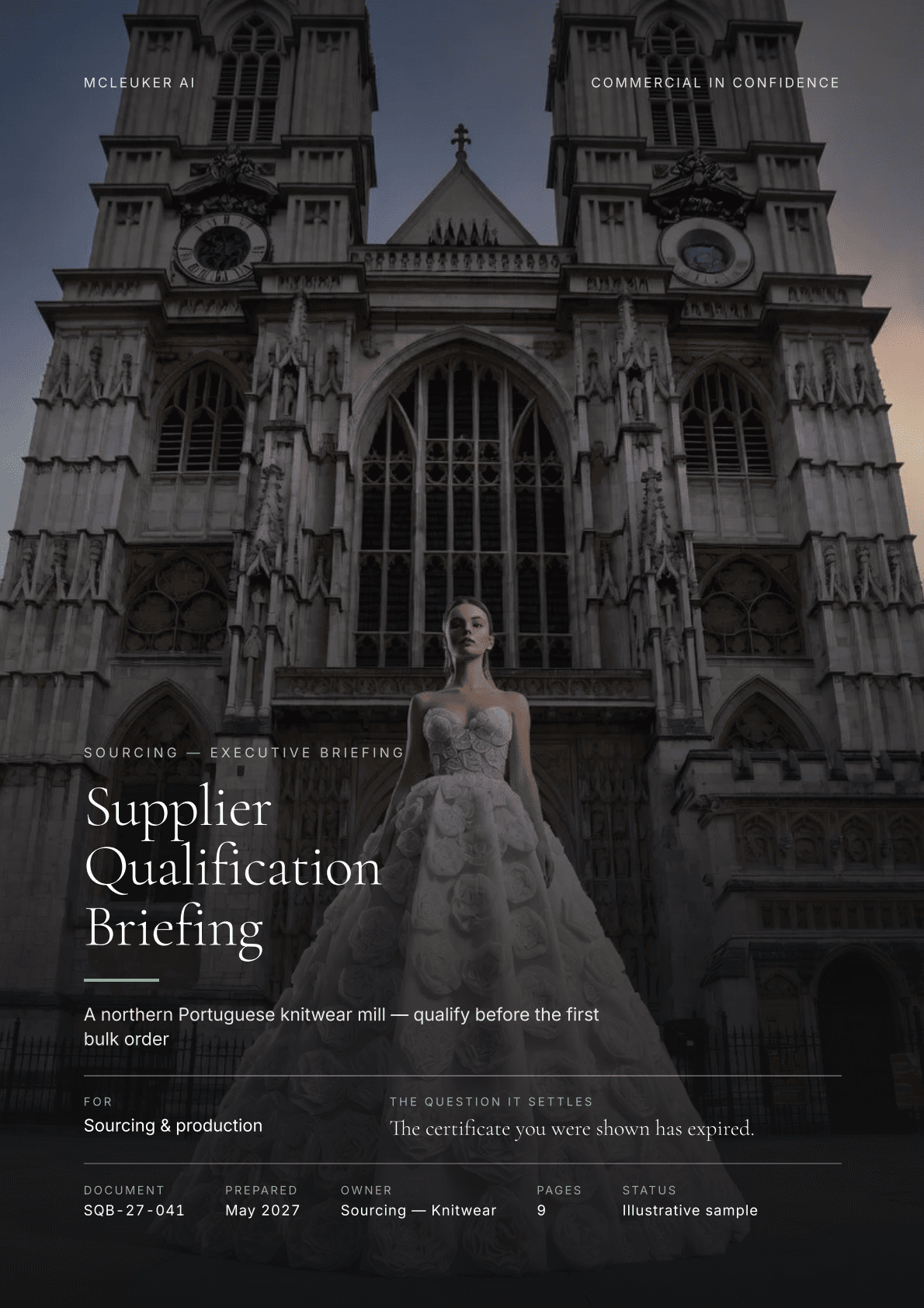 Supplier Qualification Briefing, a pdf produced by the platform