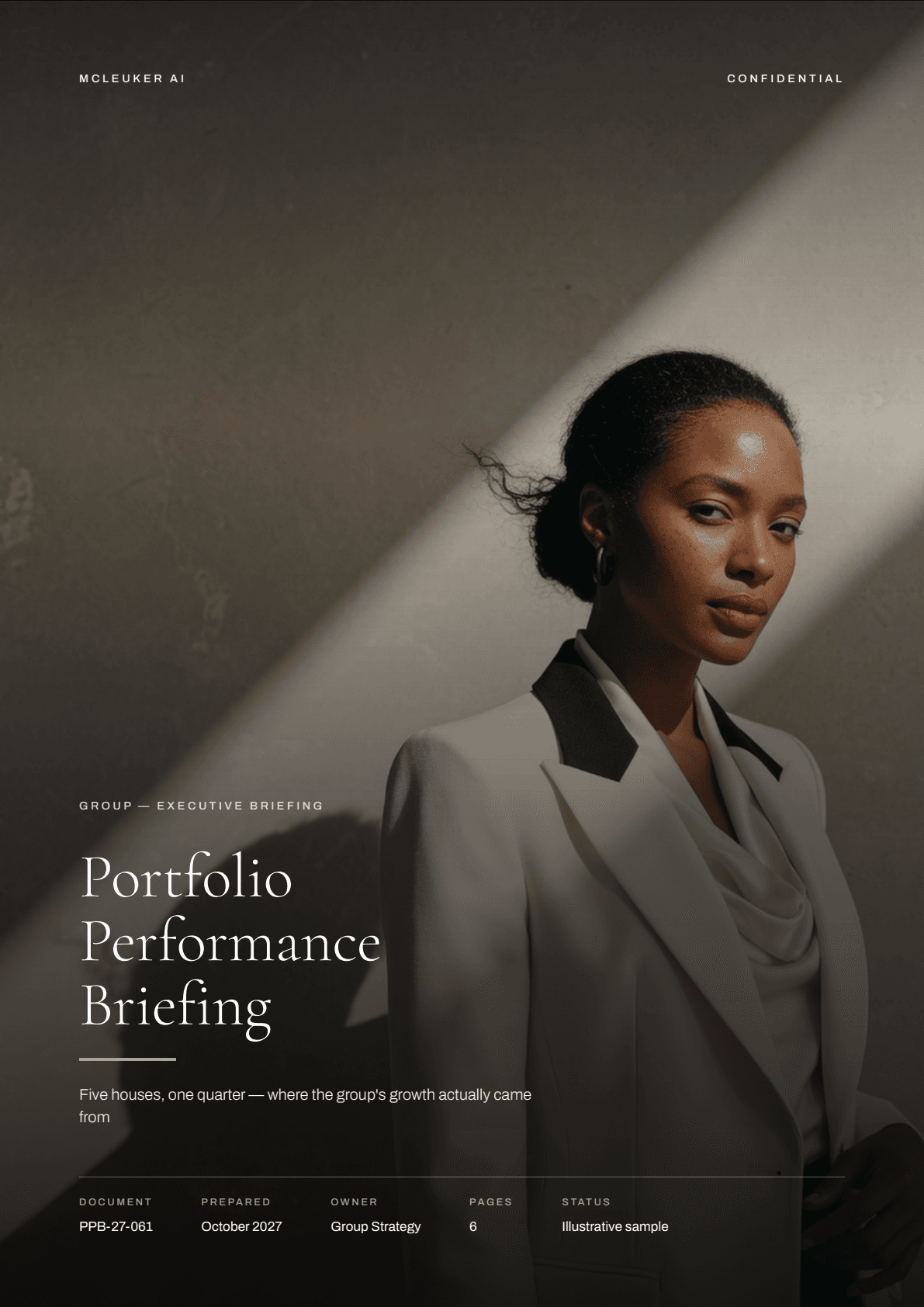 The cover of the Portfolio Performance Briefing, an example file made on McLeuker AI