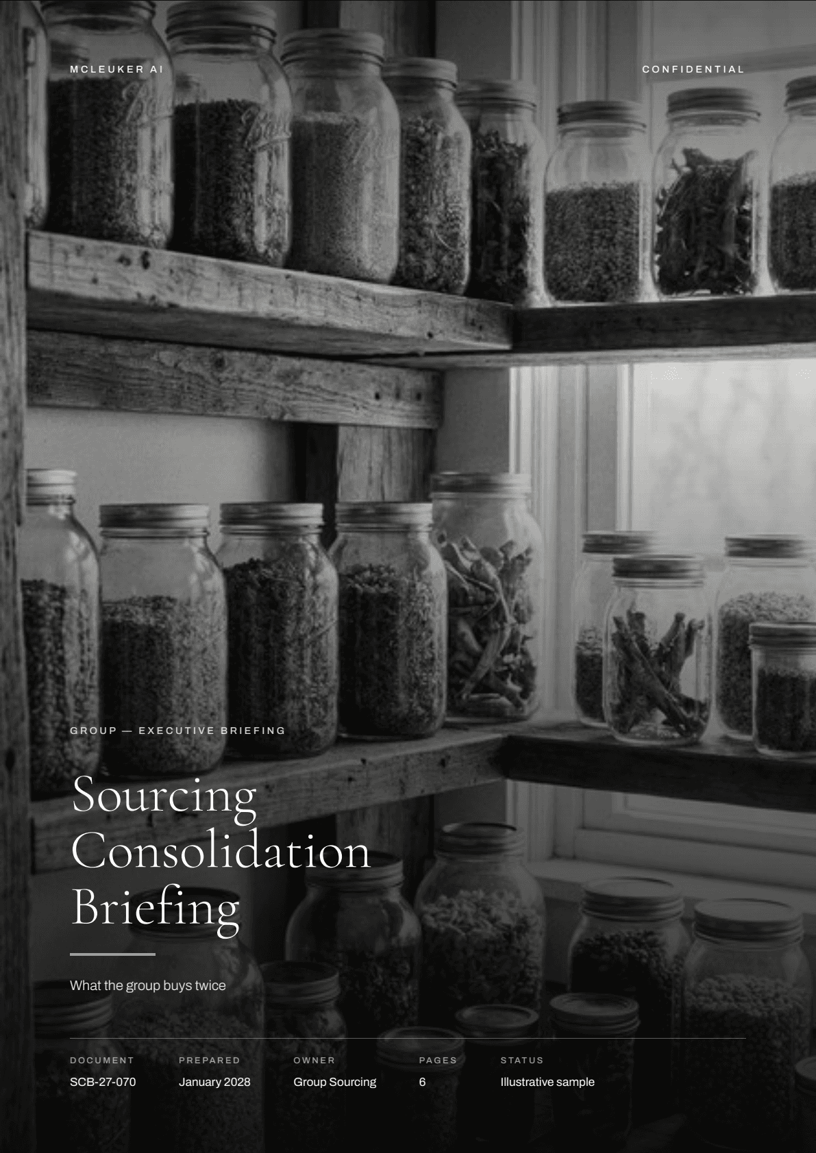 First page of Sourcing Consolidation Briefing, a PDF the platform produced