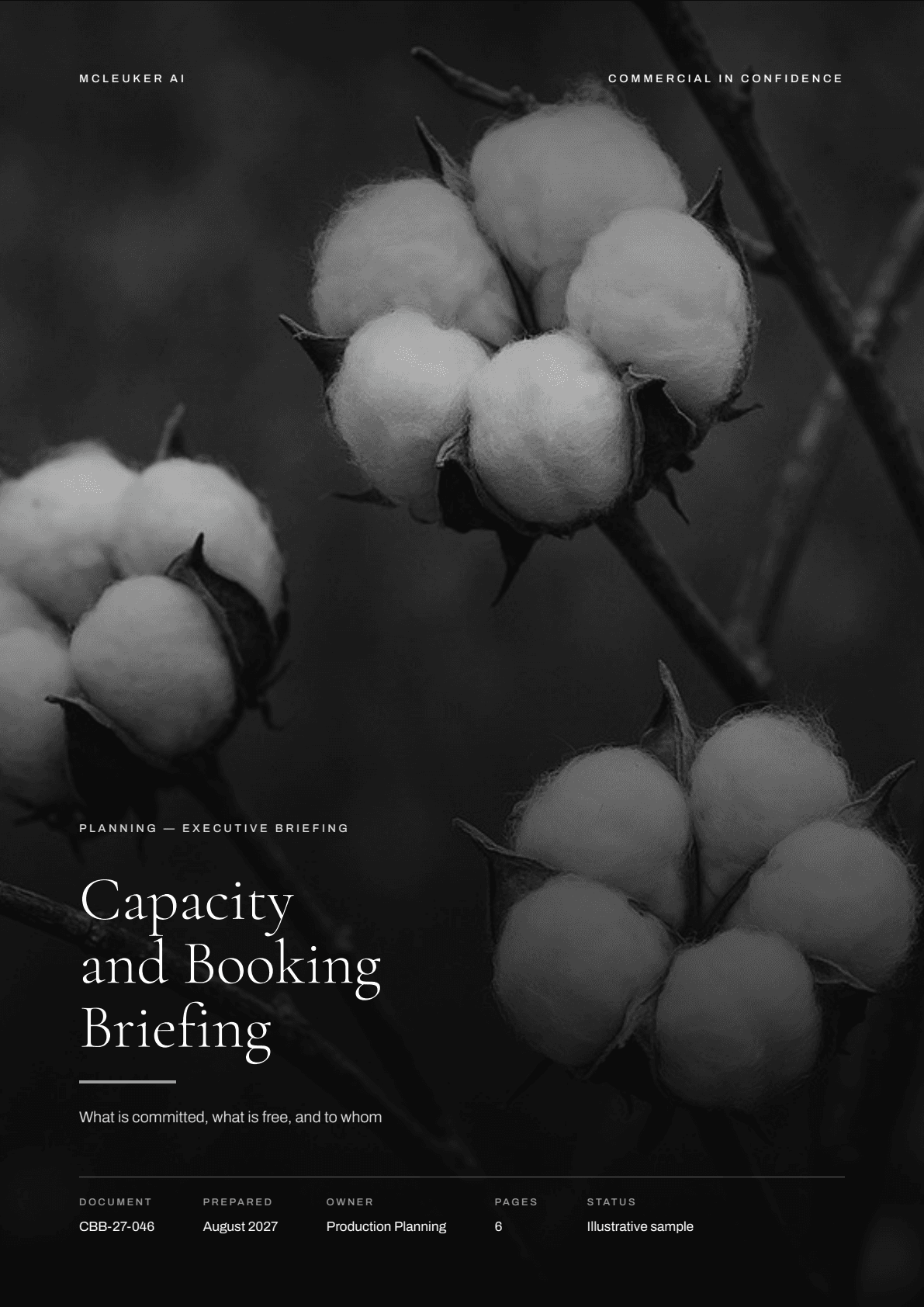 Capacity and Booking Briefing — cover
