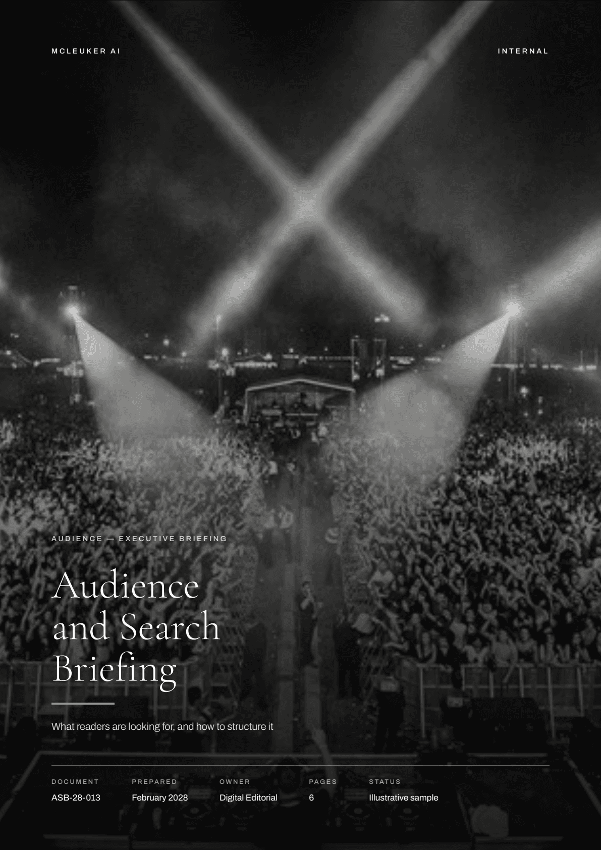 First page of Audience and Search Briefing, a PDF the platform produced