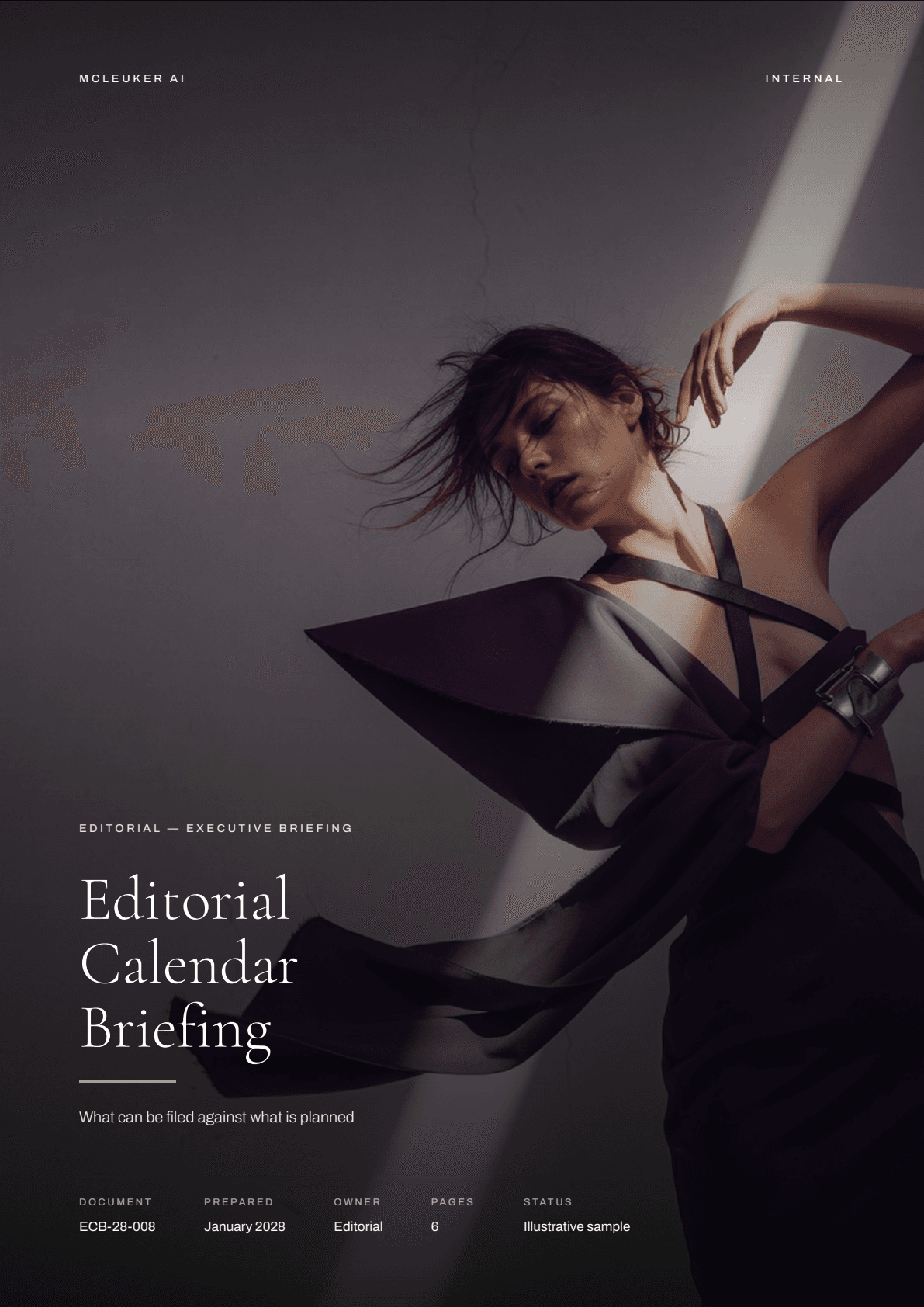 First page of Editorial Calendar Briefing, a PDF the platform produced