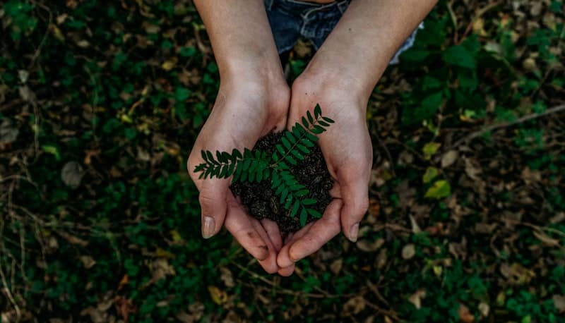 Sustainability — Certifications, ESPR / CSRD compliance and circular models.